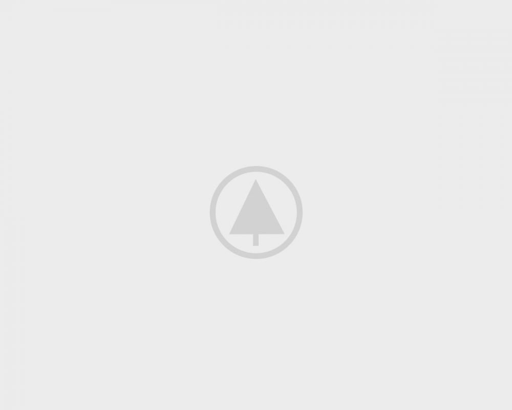 wood-gallery-placeholder-5