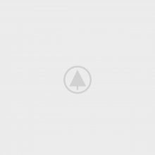 wood-portfolio-placeholder